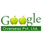 GOOGLE OVERSEAS PVT.LTD